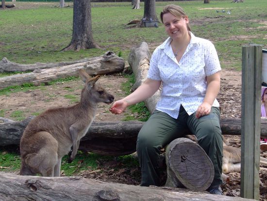 Very curious Roo