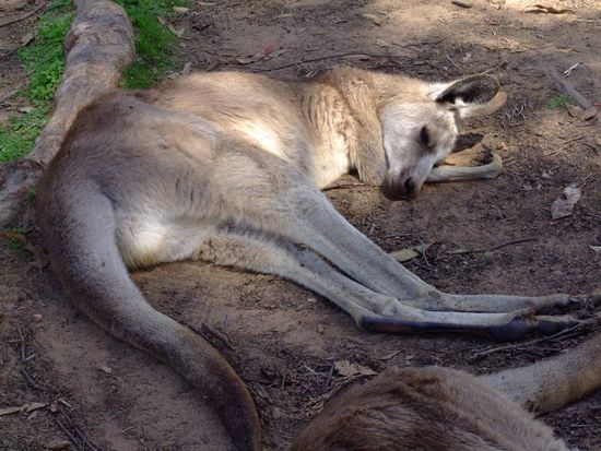 zzzzzzzzzzzzzzzzzzzz
