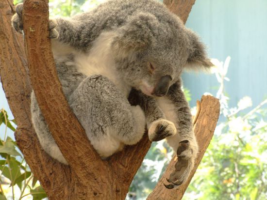 zzzzzzzzzzzzzzzzzzzzzzzzzzzzzz