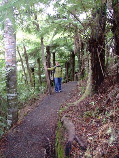 On way to Lookout