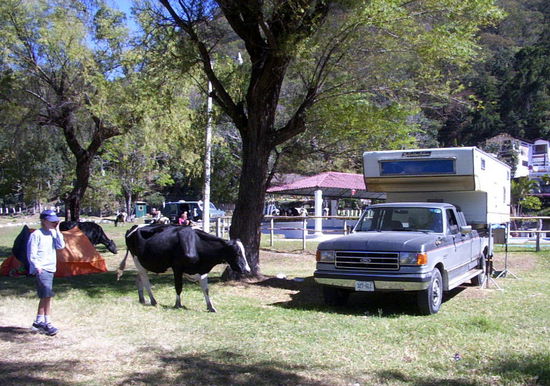 ...sharing the campground with cows is back to the nature experience if you are looking where you're stepping...