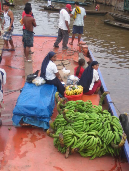The load: a fridge with fresh fish covered with a blue plastic and platanos.