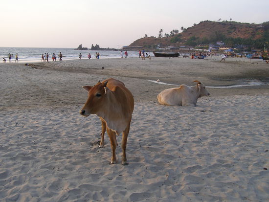 a real Indian beach