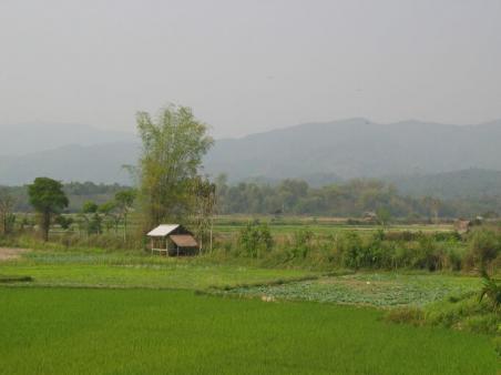 Lao's countryside enroute to Vang Vieng.