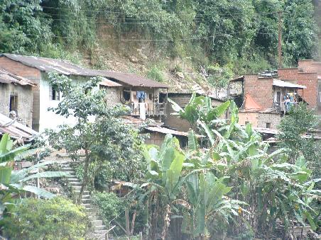 The habitations look quite the same, vegetation is changing: looks more like jungle