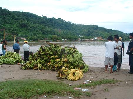 River Beni