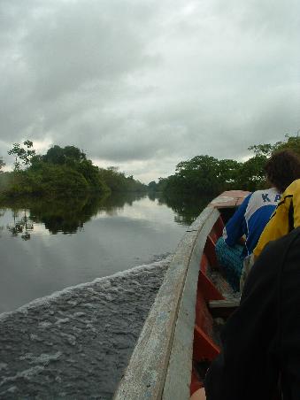 Travelling by boat on the Rio Yacuma North East from Rurre. It changes from the bus