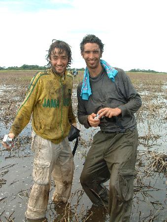Because they liked the smell of the Pampas a lot, they had to swim in it...