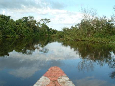 Quiet water does not mean there nothing in it