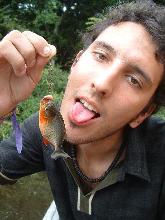 The day after we fished the piranhas, grilled and ate them. It tastes, well, like fish. Hard to believe that such a small and sweet thing can make a puzzle out of you...