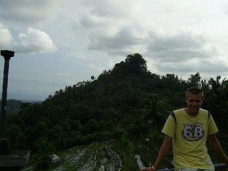 Rice Paddy Fields
