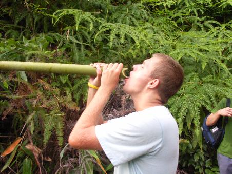 Drinking Wonderful Bamboo Water