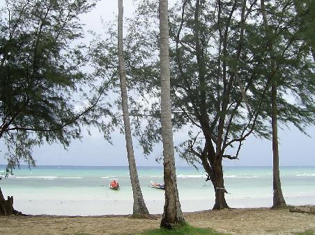 Beach View