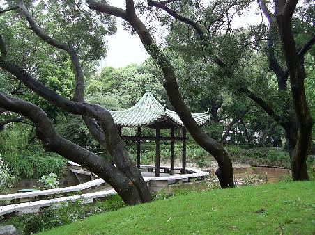 Chinese Garden- Kowloon Park