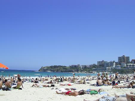 Christmas at Bondi Beach
