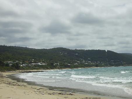 Apollo Bay- Great Ocean Road