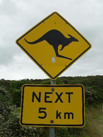 Flaming Roos!