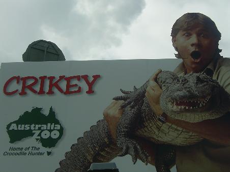 Crikey!
