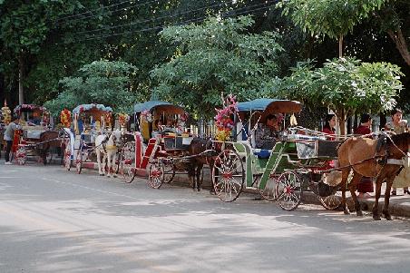Lampang horse and carts