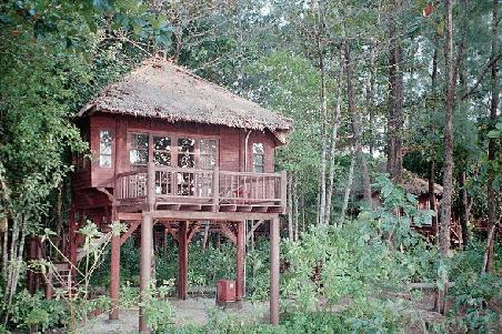 Our Treehouse on the beach