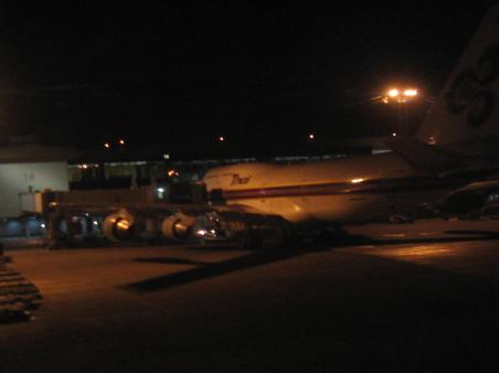 Our Thai Airlines plane at Bangkok Airport