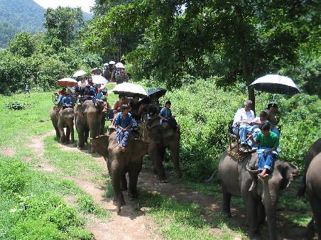 Elephant ride at Mae Taeng Elephant Camp