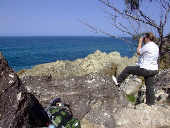 Waiting for whales, dolphins and turtles