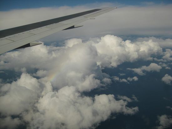 On way from Sydney to Auckland