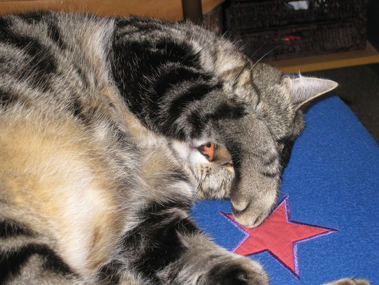 "Aaaargh! Turn that light off!"