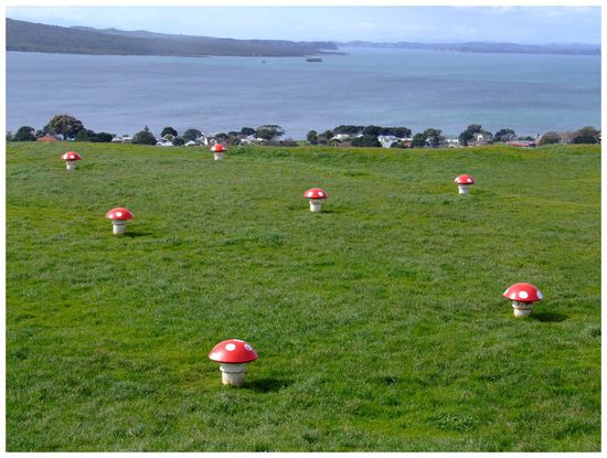 See, I wasn´t halluzinating 