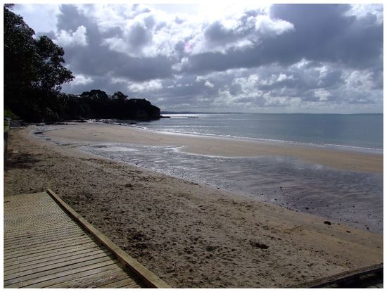 Narrow Neck Beach