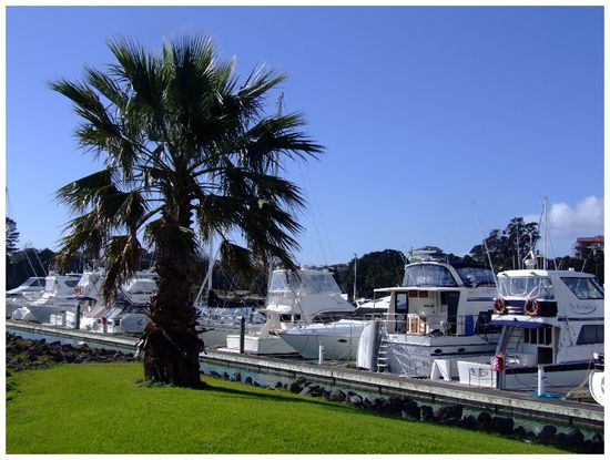 Boats at Pine Harbour