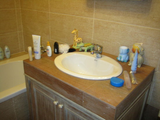 The animal-themed bathroom H and I shared