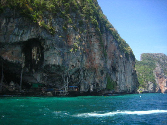 H: They also said something about bird's nest soup?  I dont remember but maybe that they harvest it here?