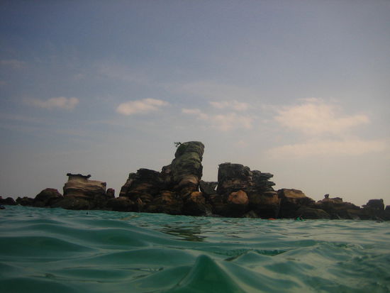 Where all the fish were