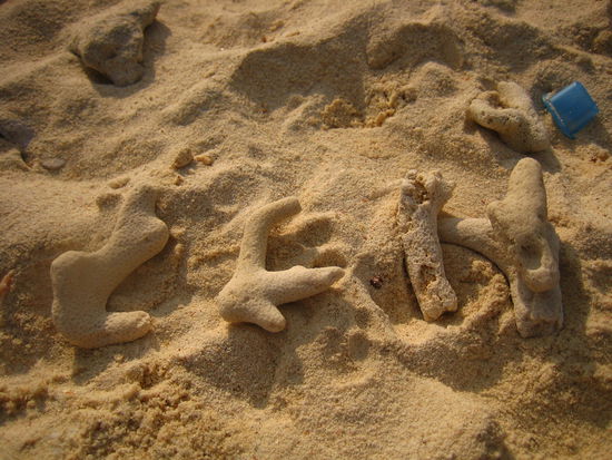 C&amp;H, and no, its not the sugar brand!