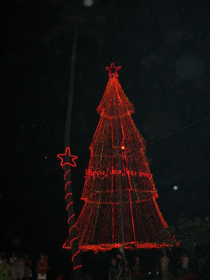 Another Christmas tree