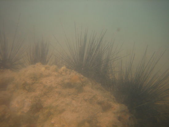 Yikes, that's gotta hurt real bad