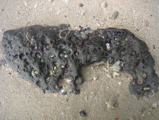 Strange, but kinda cool