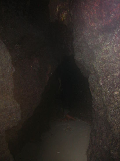 Inside another small cave-- we were too scared to go all the way inside