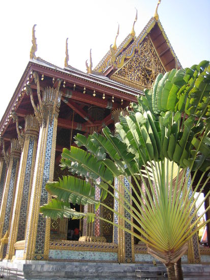 Another one of my photography attempts... I love how this one turned out!