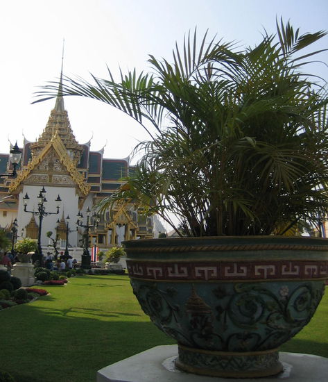 Another one of my 'interesting photos'