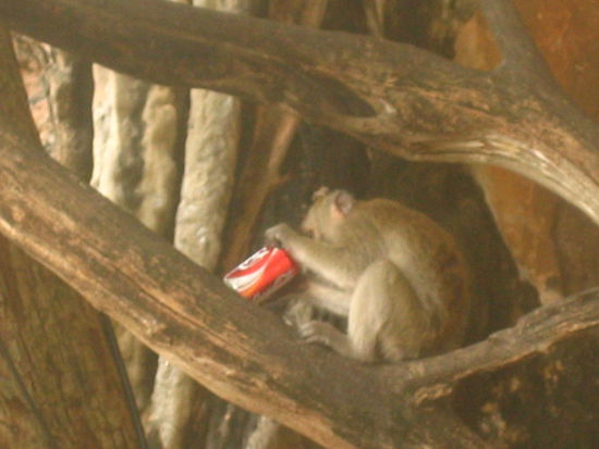 This would make a great Coca-Cola ad