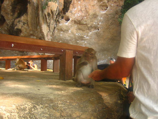 This cute little one takes niblets of corn out of this guy's hand