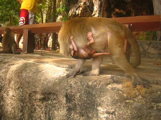 Look how the little one holds on tight