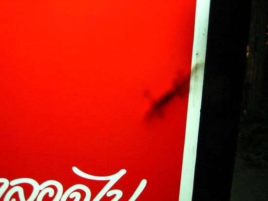 This lizard warms himself inside a lit billboard