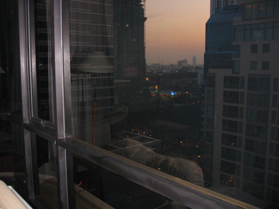 View from the bedroom