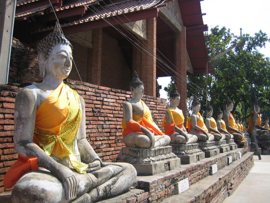 Lined buddhas