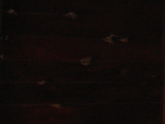 There were bats on the ceiling!