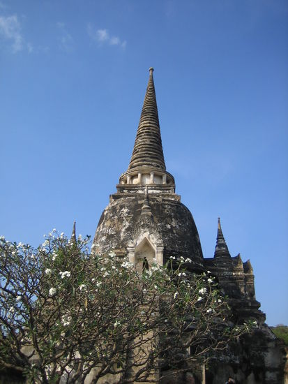 The 'Sacred' Temple
